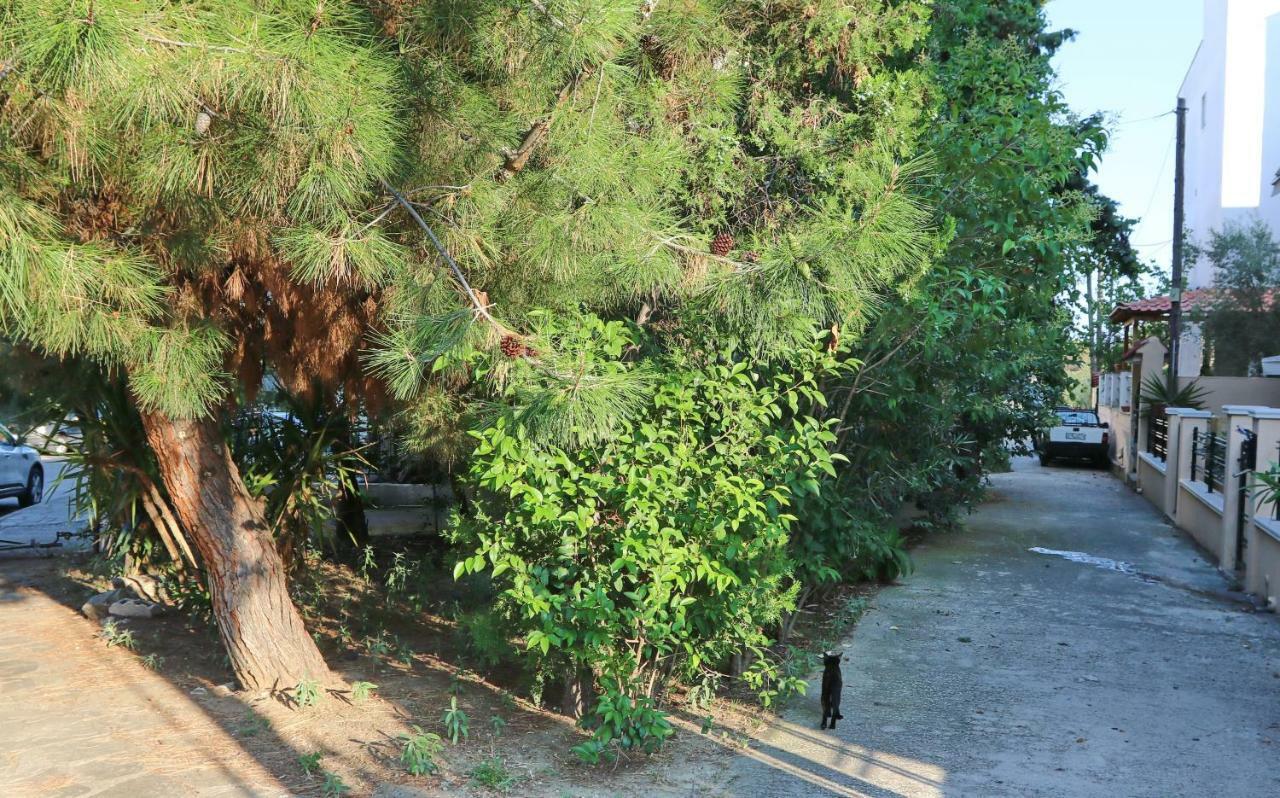 Elena 2 Daire Kavala Dış mekan fotoğraf